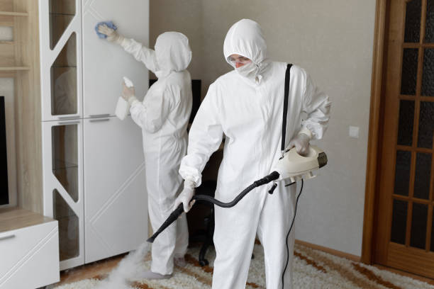 Best Post-Flood Mold Remediation in Rogersville, TN